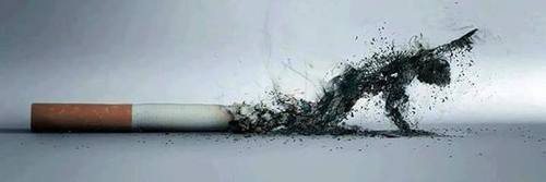 cig