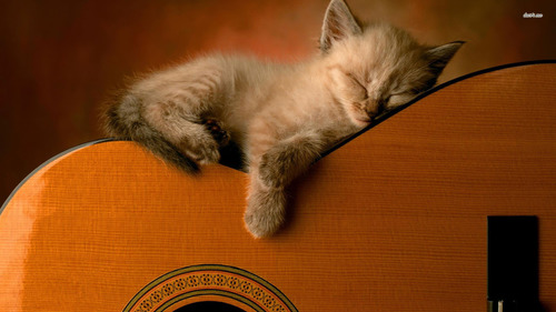 sleeping