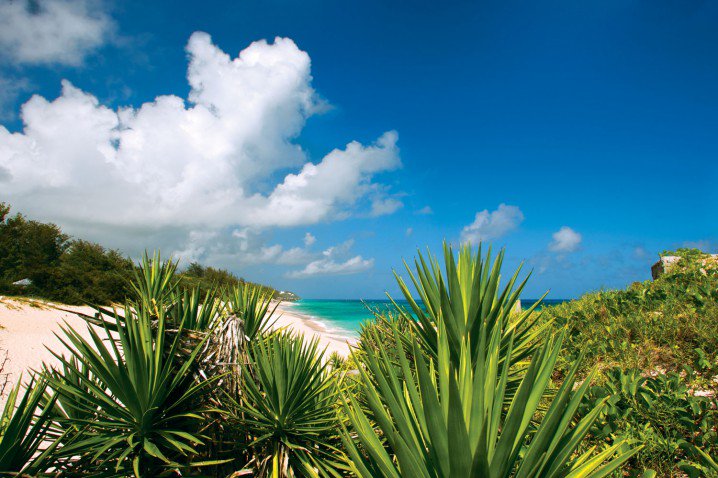bermuda4u.com