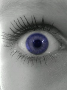 purp1