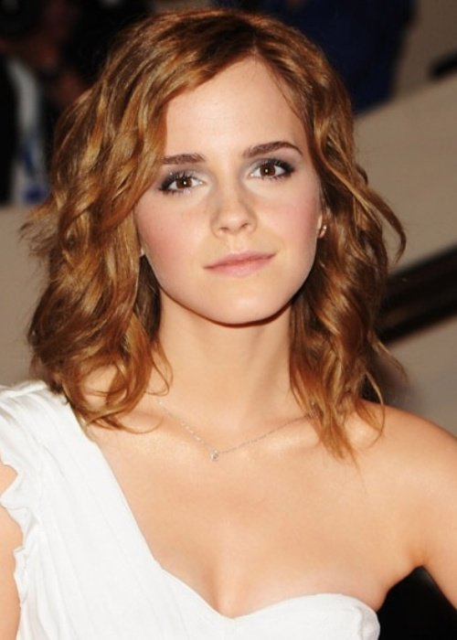 attends the Costume Institute Gala Benefit to celebrate the opening of the "American Woman: Fashioning a National Identity" exhibition at The Metropolitan Museum of Art on May 3, 2010 in New York City.