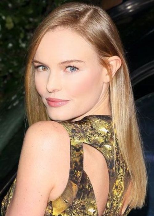 Blonde_Hair_Color_Idea_2014_27