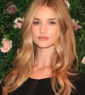 Blonde_Hair_Color_Idea_2014_44