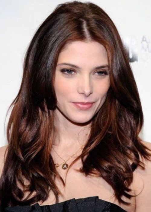 brown_hair_color_ideas_44
