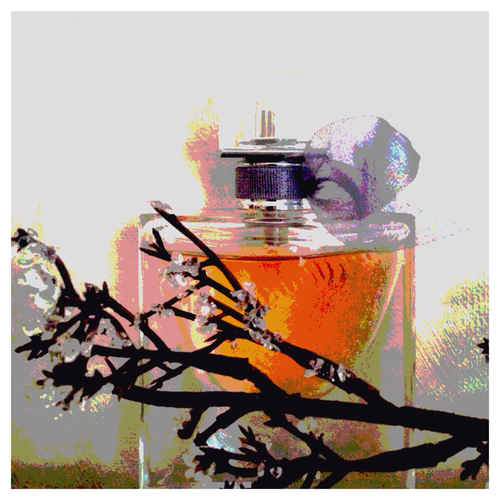 perfume