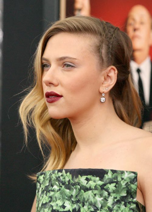 Top_100_Braided_Hairstyles_2014_045