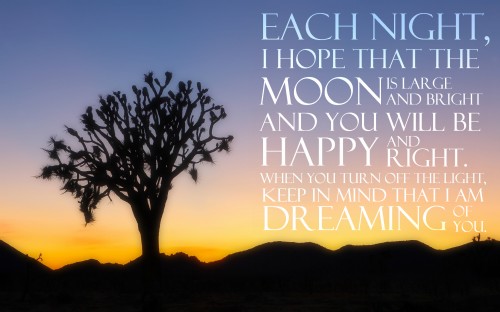 good night quotes8