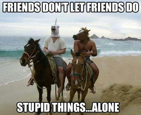 stupid thing