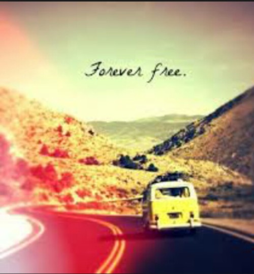 road trip2