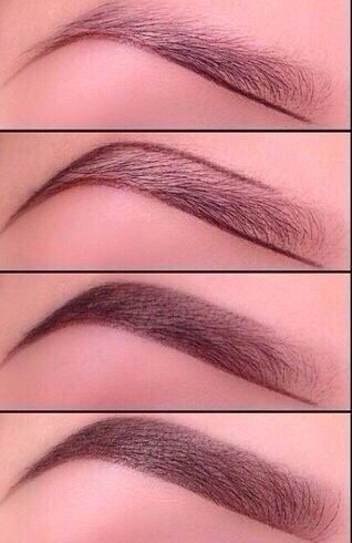 16 Eyebrows