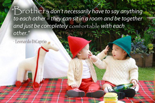 Quotes About Brothers_05