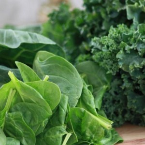 natural appetite suppressants_13