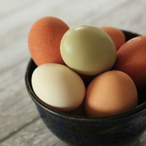 natural appetite suppressants_7