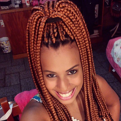 Braid Hairstyles Box Braids