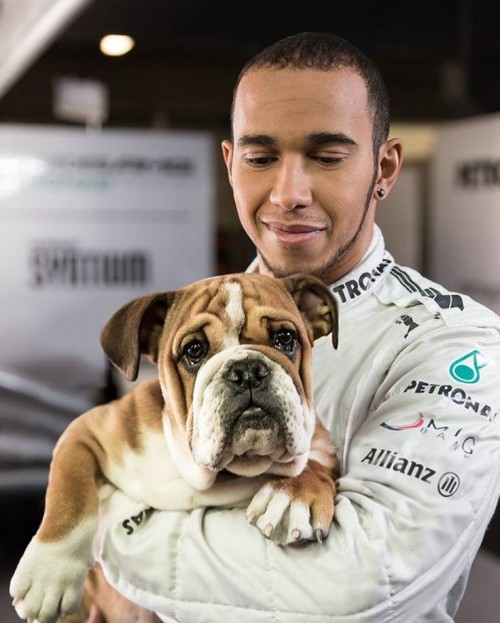 100 Hottest men in the world 2015
