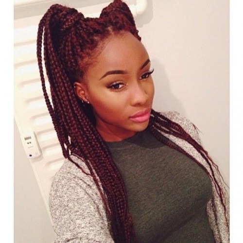 individual braids_26