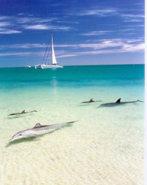 australia