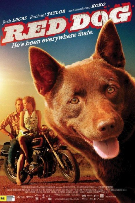 red dog