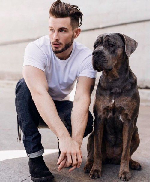 30 Hot Male Actors Under 30 in 2017