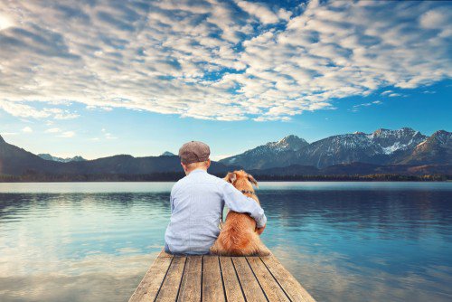 what does it mean when you dream about dogs