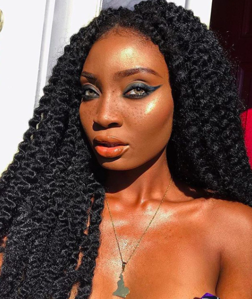 40 Twist Hairstyles for Natural Hair 2017 2