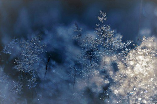 Unique Baby Girl Names for Winter and Their Meanings 