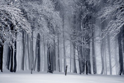 Best Snow Or Winter Baby Names
