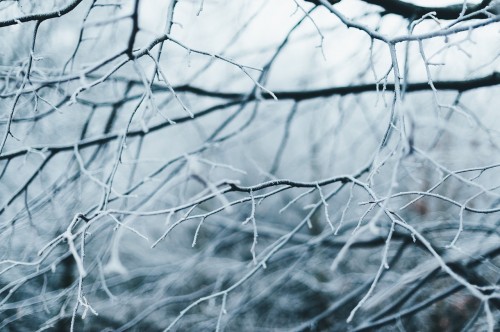 Ice or Winter Baby Boy Names 3