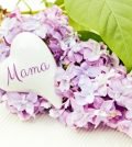 Happy Birthday in Heaven Mom Quotes