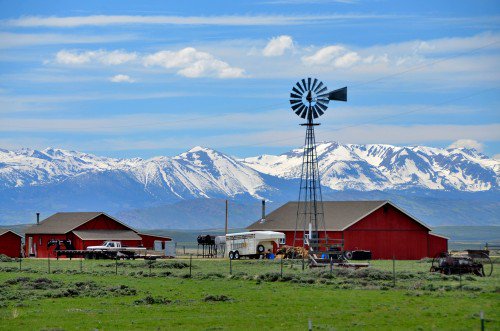 important tips for choosing a farm name