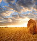 How to Name Your Farm or Ranch