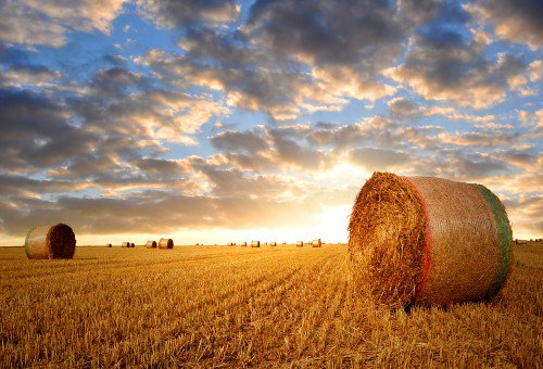 How to Name Your Farm or Ranch