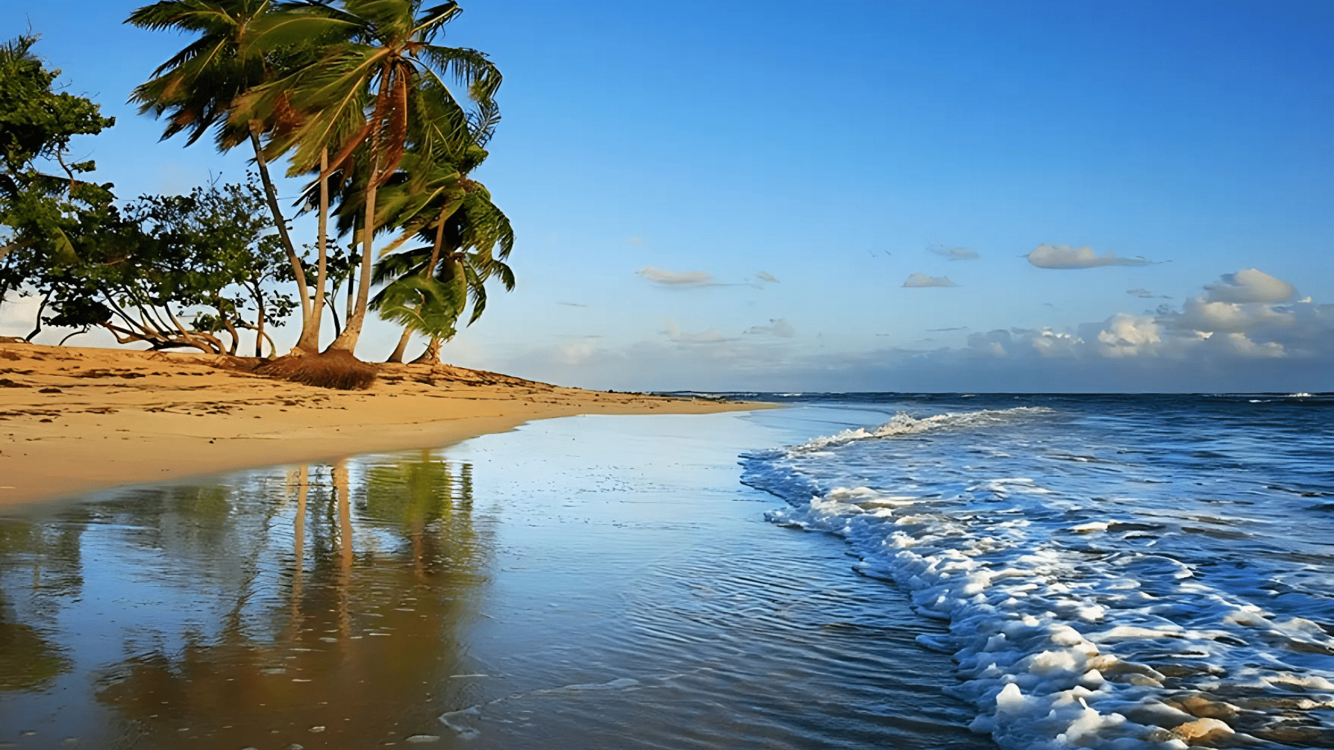Las Terrenas